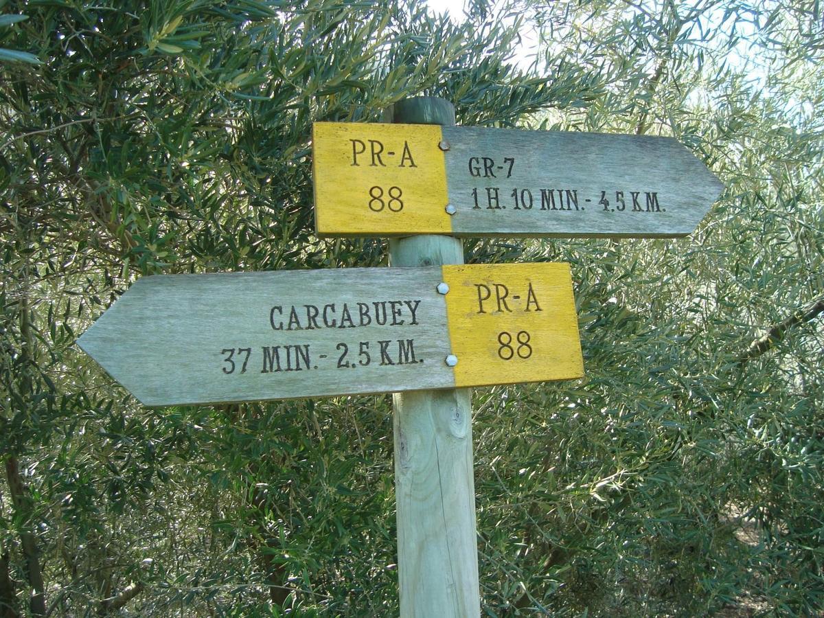 Casilla Dalea En Carcabuey, Descubre El Interior De Andalucia Villa Eksteriør bilde